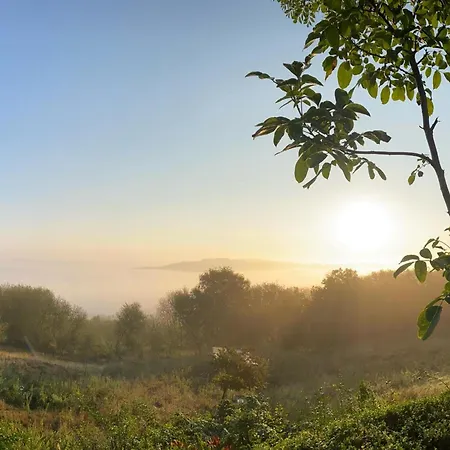 A Avec Jardin Privatif, Cheminee, Wifi Et Animaux Admis - Fr-1-376-77 بيت للعطل Saint-Étienne-au-Mont