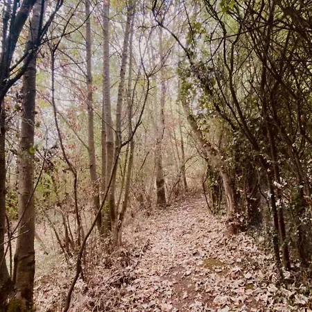 Сasa de vacaciones à Saint-étienne-au-mont Avec Jardin Privatif, Cheminée, Wifi Et Animaux Admis - Fr-1-376-77 Saint-Étienne-au-Mont