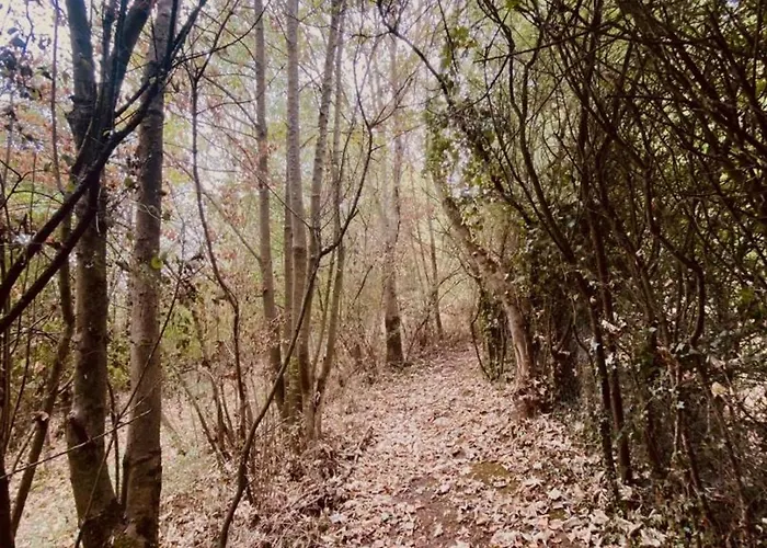 Сasa de vacaciones à Saint-étienne-au-mont Avec Jardin Privatif, Cheminée, Wifi Et Animaux Admis - Fr-1-376-77 Saint-Étienne-au-Mont