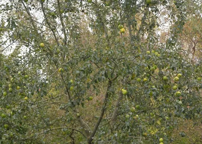 à Saint-étienne-au-mont Avec Jardin Privatif, Cheminée, Wifi Et Animaux Admis - Fr-1-376-77 Сasa de vacaciones *