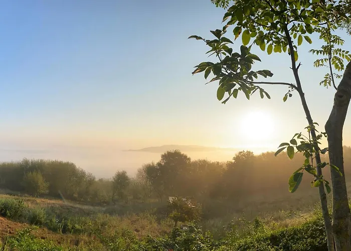 à Saint-étienne-au-mont Avec Jardin Privatif, Cheminée, Wifi Et Animaux Admis - Fr-1-376-77 Сasa de vacaciones Saint-Étienne-au-Mont